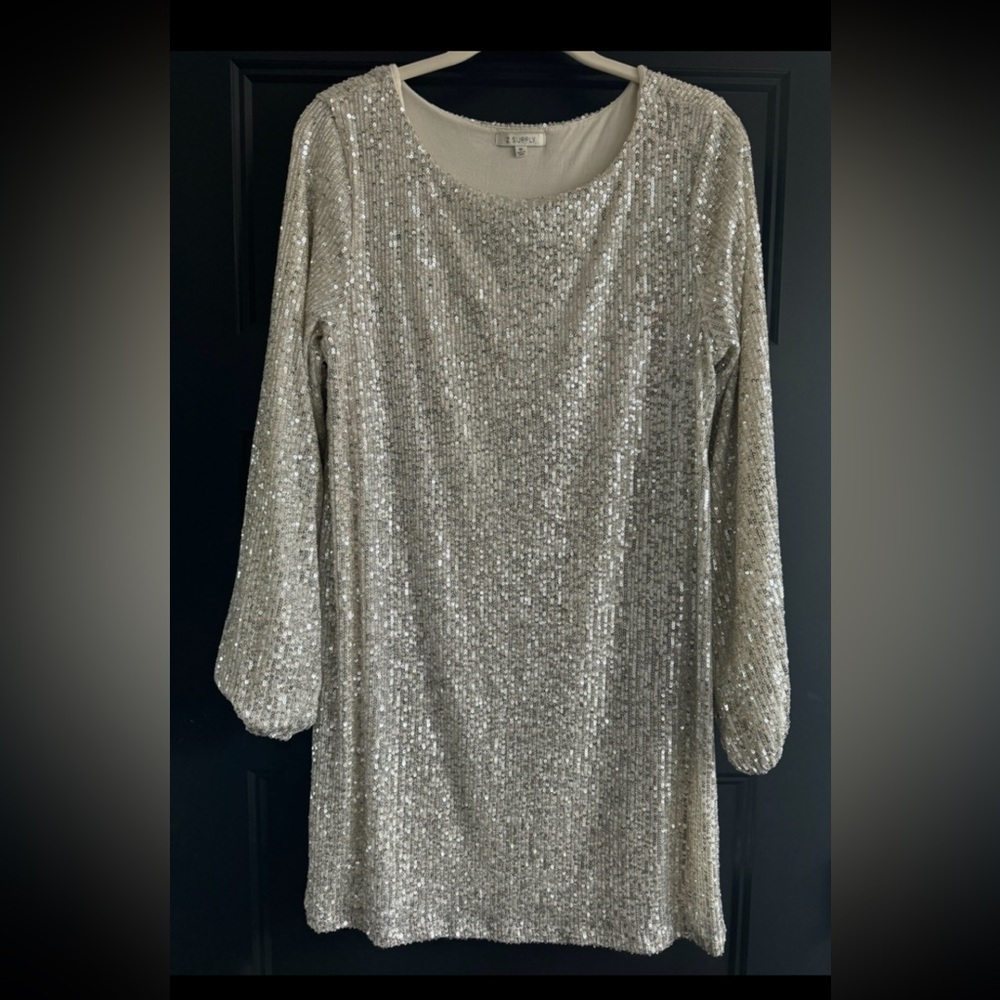 Z Supply size medium shiny silver dress